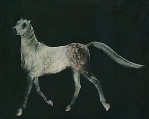 Pferd läuft stolz