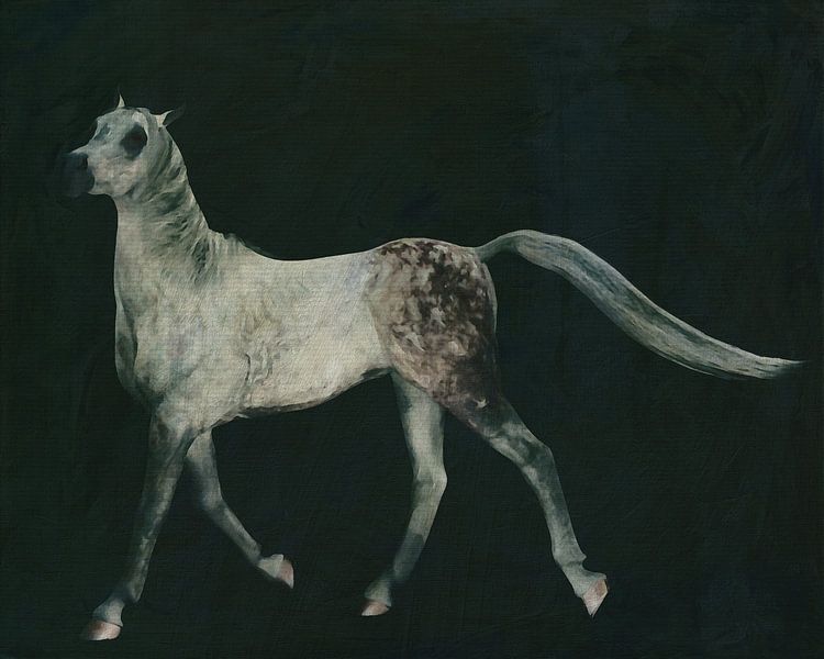 un cheval qui court fièrement par Jan Keteleer