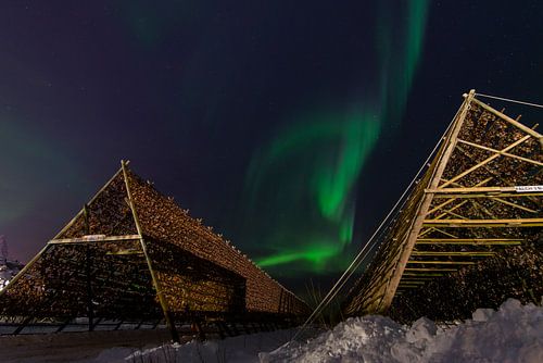 Noorderlicht boven de visrekken.