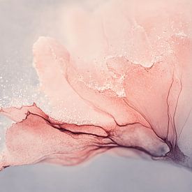 Blush Drift by Cats & Dotz