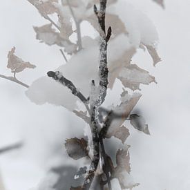 Winterlandschaft III von Art. by Janine