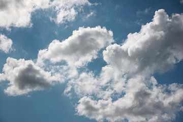 Allocumulus