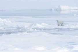 MY WORLD sur Ria de Heij