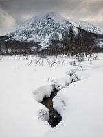 Mountain Stream
