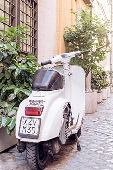 Geparkeerde witte retro scooter bij planten in Rome