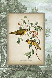 Vintage Yellow Birds on a Landscape by Behindthegray
