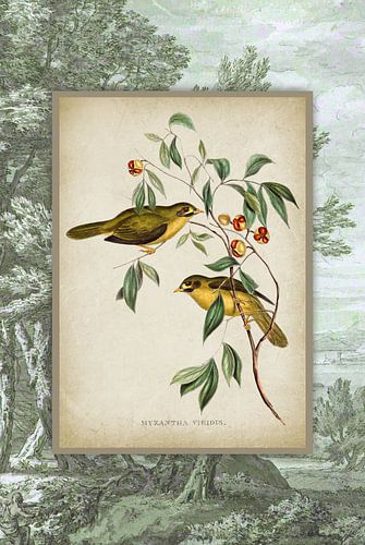 Vintage Yellow Birds on Landscape