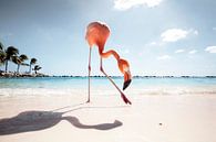 Flamingo Friday von Claire Droppert Miniaturansicht