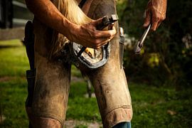 Hoefsmid in actie van anne droogsma