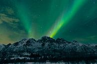 Noorderlicht boven de Lofoten in Noorwegen van Sjoerd van der Wal Fotografie thumbnail