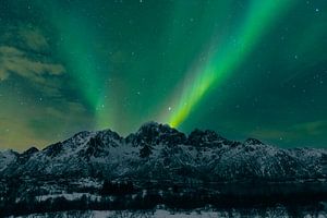 Noorderlicht boven de Lofoten in Noorwegen van Sjoerd van der Wal Fotografie