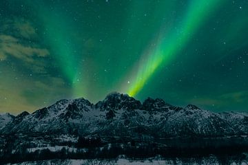 Aurores boréales sur les îles Lofoten en Norvège sur Sjoerd van der Wal Photographie