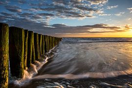 Polehead von Linda Raaphorst