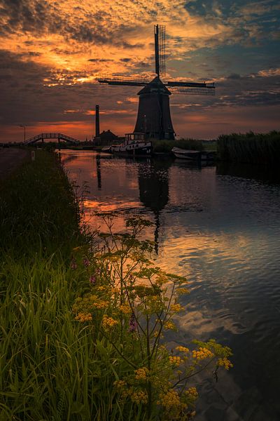 Reflexion im Wasser von peterheinspictures