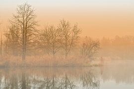 Silence in Autumn - Landscape with Fog, Light and Reflection by BowiScapes - Fine Art and Urban Wall Art