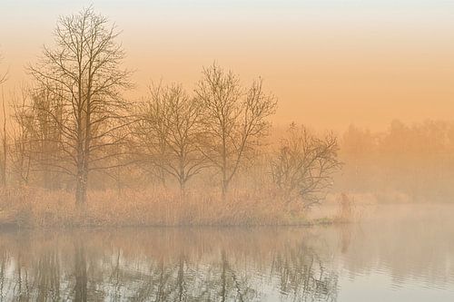 Stilte in de Herfst - Landschap met Mist, Licht en Reflectie