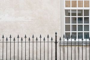 Zaun | Fenster | Wand