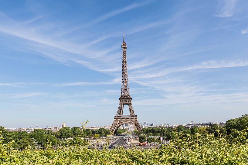PARIS Eiffel Tower with skyline by Melanie Viola