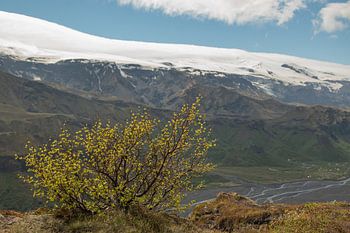 Wanderung durch Thorsmörk und Godaland im Süden von Island mit Blick auf die Schlucht mit dem Fluss 