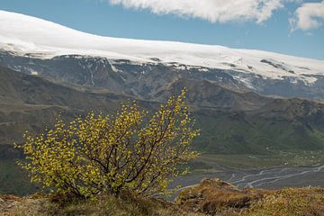 Wandelen door Thorsmörk en Godaland in het zuiden van IJsland met uitzicht op de kloof met de rivier van Edda Dupree