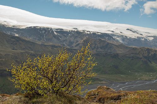 Hiking through Thorsmörk and Godaland in the south of Iceland with a view of the gorge with the rive