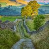 Rausch der Farben in Yorkshire Dales von Lars van de Goor