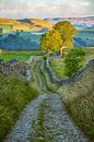 Rausch der Farben in Yorkshire Dales von Lars van de Goor Miniaturansicht