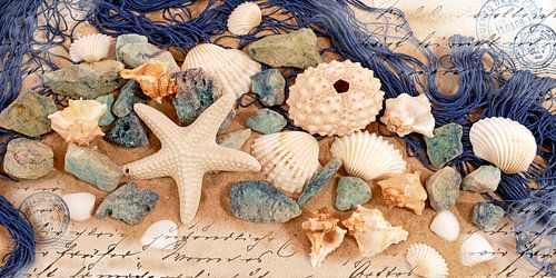 Trésors de la plage