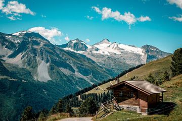Alpine Sereniteit: Ontdekkingen in de Schoot van de Hintertux Berg van Youp Linders