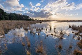 Braakhuizense Heide 16