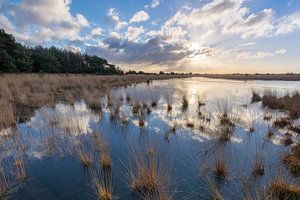 Braakhuizense Heide 16