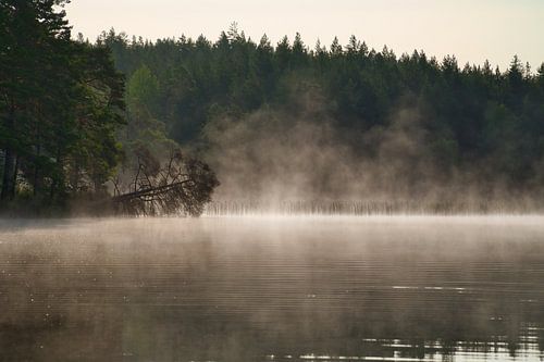 Sunrise with fog forming over a lake in Sweden, at dawn