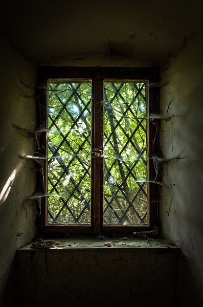 Lieux perdus par Nina Schütz