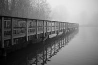 Bünde in Nebel IX | Steinmeisterpark van Momentaufnahme | Marius Ahlers thumbnail