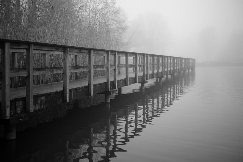 Bünde in Nebel IX | Steinmeisterpark van Momentaufnahme | Marius Ahlers