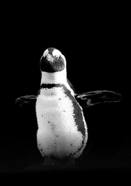 Pinguïn van Guido Heijnen