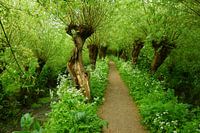 Rhoonse Grienden