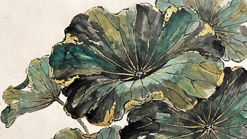 Lotus au feuillage doré