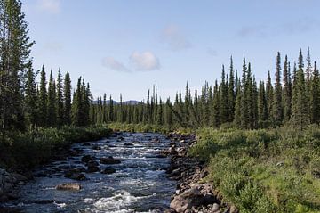 Fließender Fluss in Alaska von Dirk Fransen