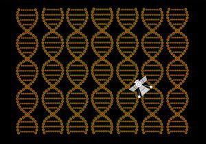 Anunnaki DNA Spacecraft braun-rot