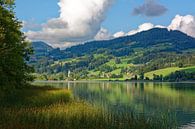 Ein Sommermorgen am Niedersonthofener See von Gisela Scheffbuch Miniaturansicht