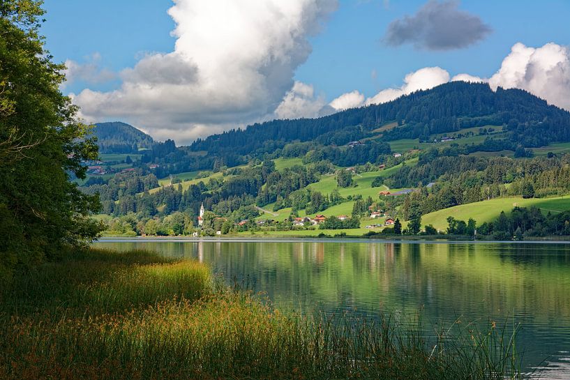 Ein Sommermorgen am Niedersonthofener See von Gisela Scheffbuch