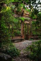 The Greenhouse 5