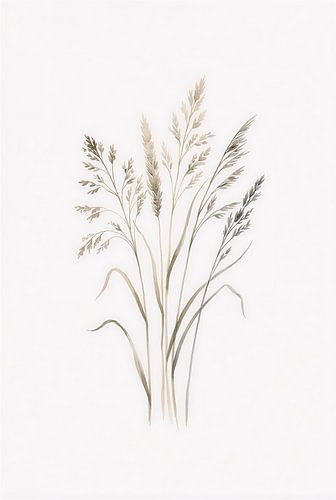 Minimalistischer botanischer Kunstdruck mit Wildgras in Aquarelltechnik