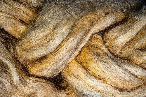 Tresse macro sur Dieter Walther