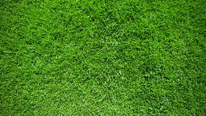 Groene grasmatten