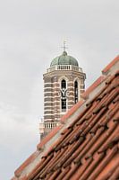 Peperbus peekaboo Zwolle