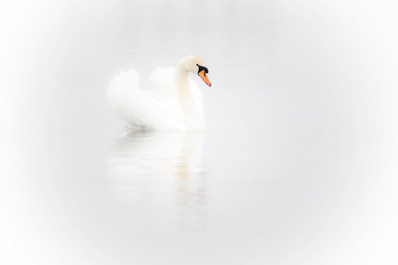 Auf dem Wasser dümpeln, die Ruhe genießen von Henk v Hoek