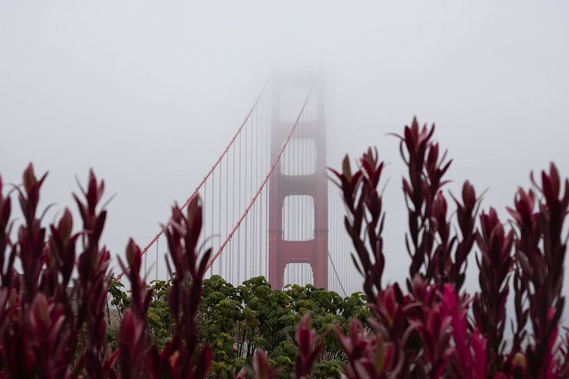 Red Golden Gate by sensitivelight