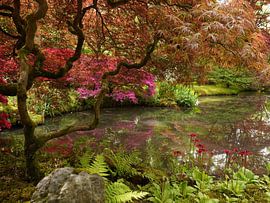 Japanischer Garten von Madeltijntje
